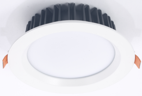 SI-DLQ2P-20W-01