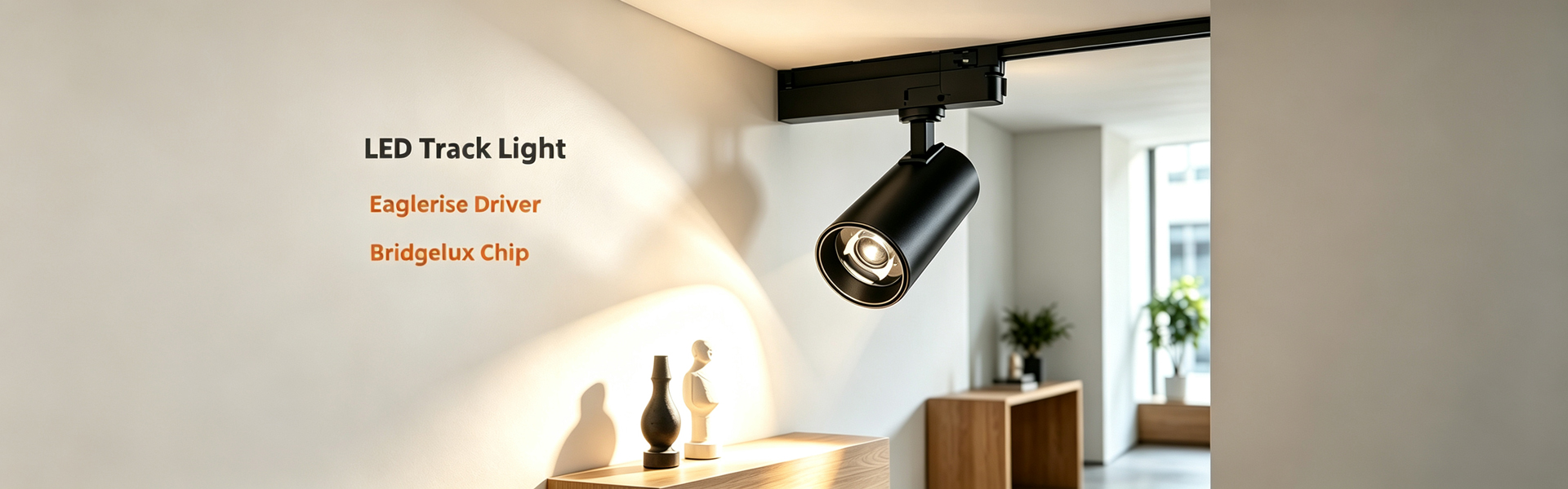 LED Flood Light