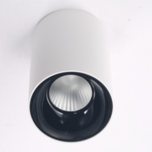 LED Downlight